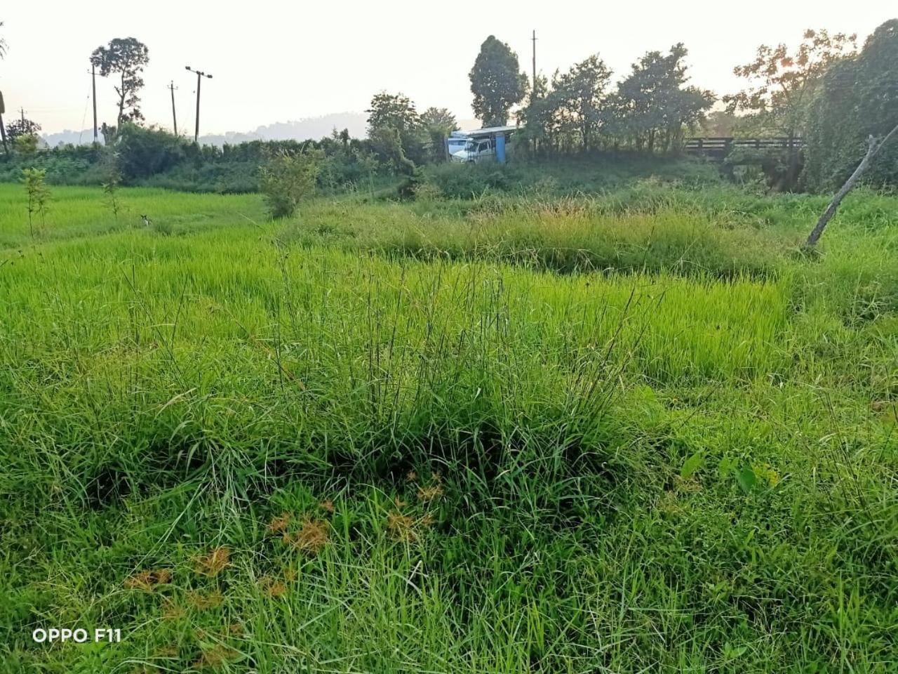 Samz Estate Stay 2Bhk Madikeri Eksteriør bilde