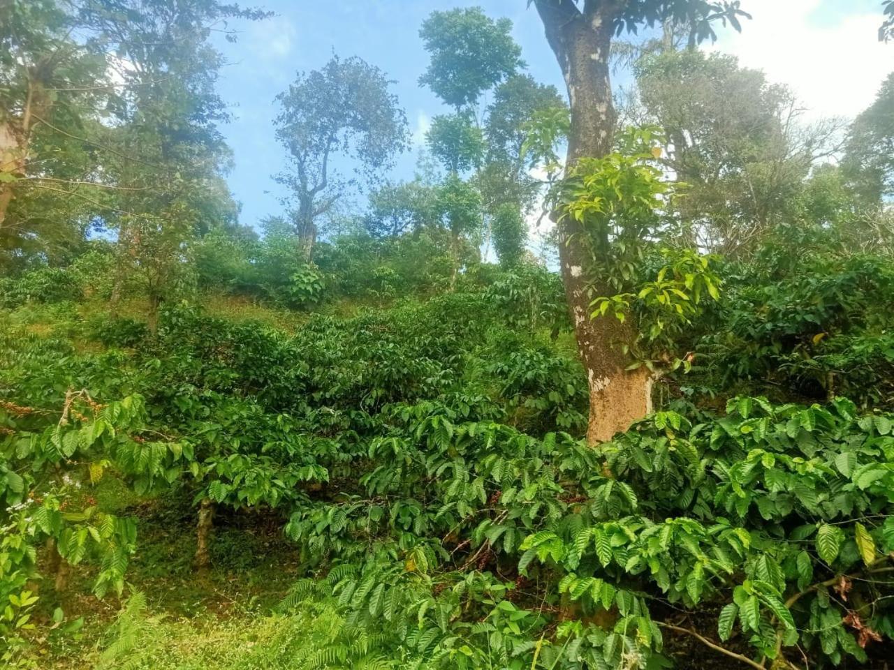Samz Estate Stay 2Bhk Madikeri Eksteriør bilde